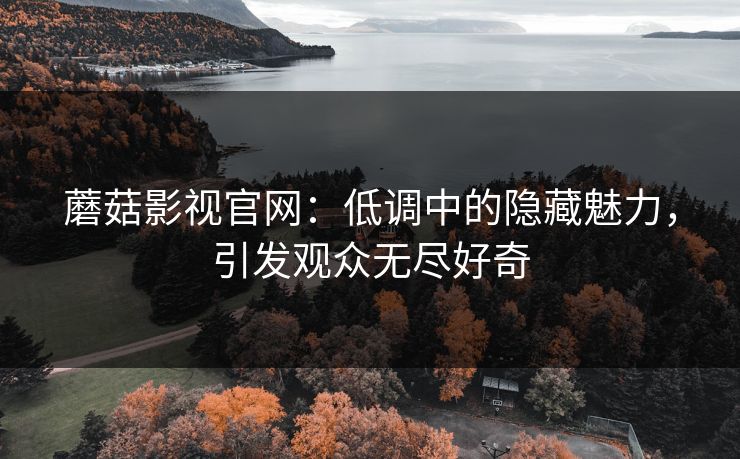 蘑菇影视官网：低调中的隐藏魅力，引发观众无尽好奇